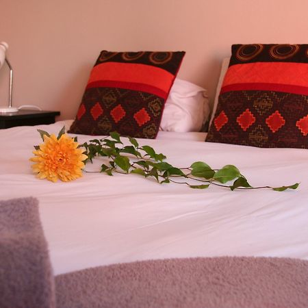Dunedin Star Guesthouse スワコプムント エクステリア 写真