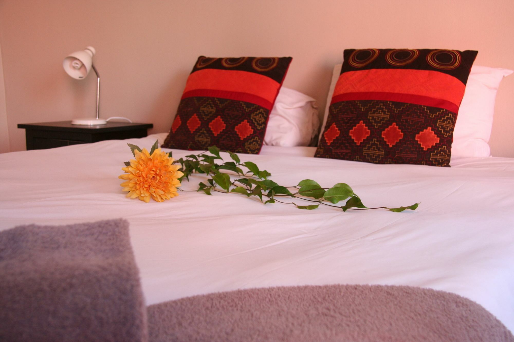 Dunedin Star Guesthouse スワコプムント エクステリア 写真